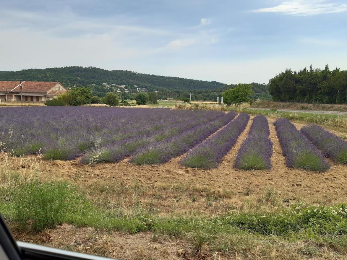 Maison De Famille Entre Vigne Et Lavande Verfeuil Dış mekan fotoğraf